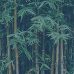 Environment Friendly