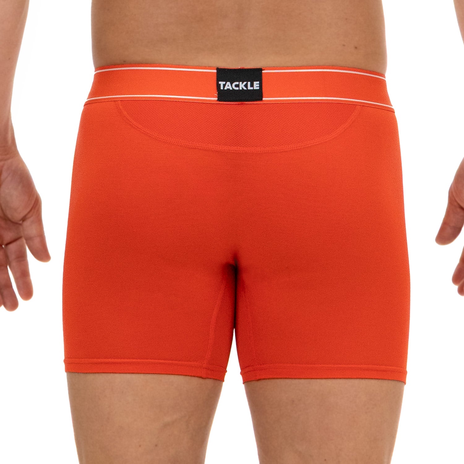 New Bamboo Trunk